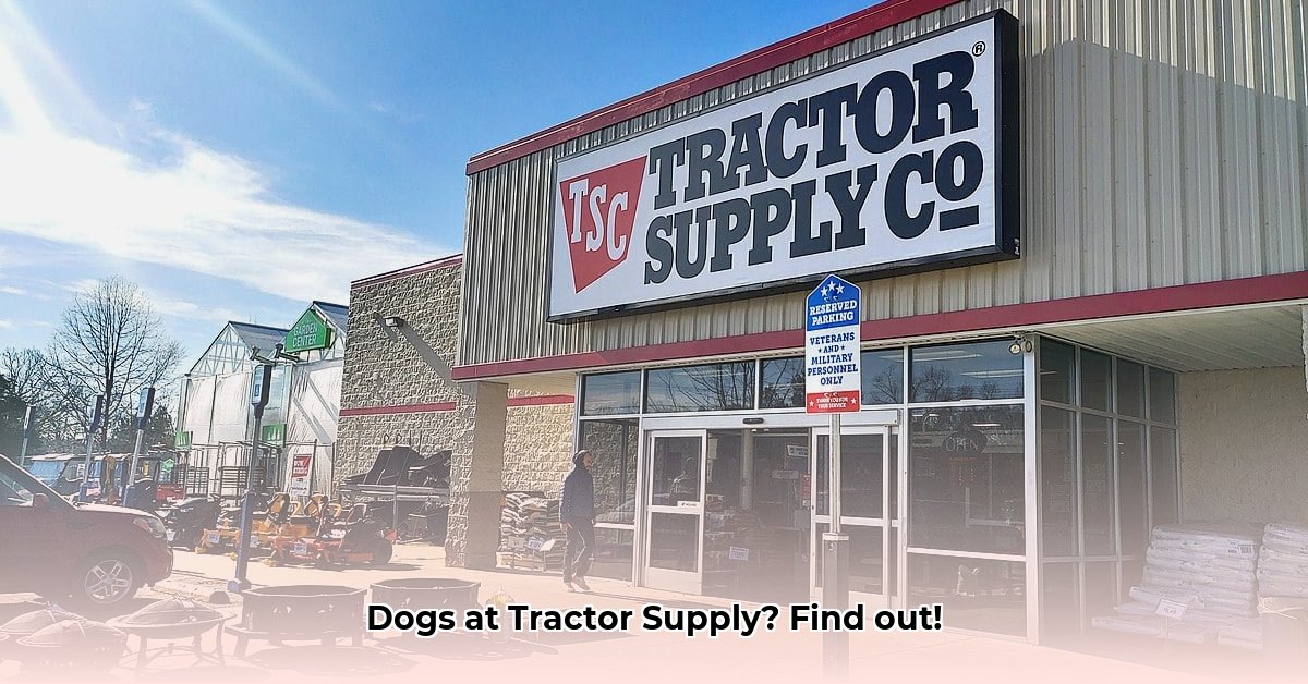 can-you-bring-dogs-in-tractor-supply